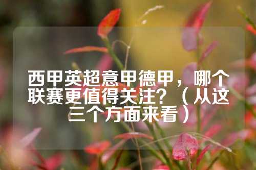 他的介入不