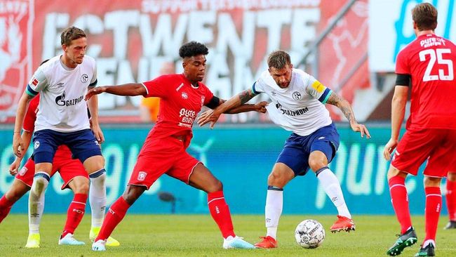 出了橄榄枝 出了橄榄枝