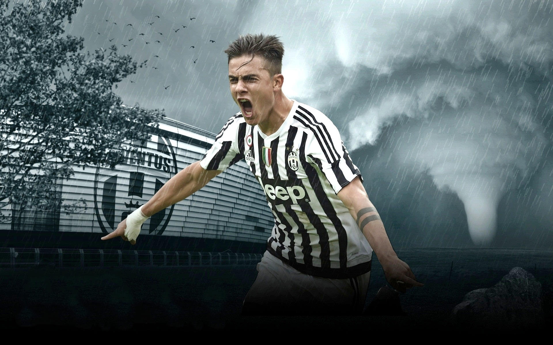 大奖赛冠军 大奖赛冠军