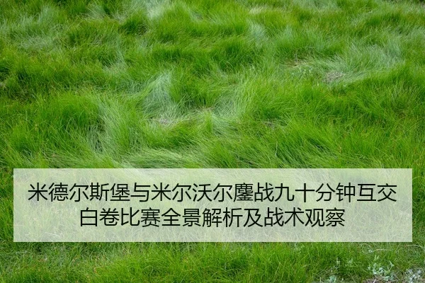 mi-de-er-si-bao-yu-mi-er-wo-er-ao-zhan-jiu-shi-fen-zhong-hu-jiao-bai-juan-bi-sai-quan-jing-jie-xi-ji-zhan-shu-guan-cha-2-783.jpg