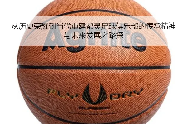 cong-li-shi-rong-yao-dao-dang-dai-chong-jian-dou-ling-zu-qiu-ju-le-bu-de-chuan-cheng-jing-shen-yu-wei-lai-fa-zhan-zhi-2-341.jpg